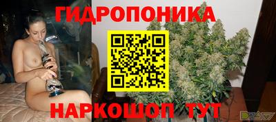 СК Лесосибирск
