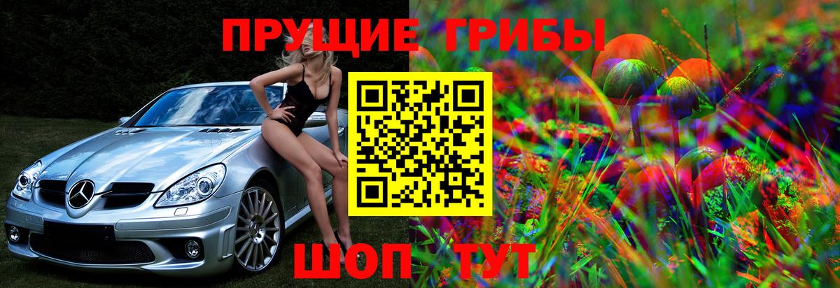 Псилоцибиновые грибы GOLDEN TEACHER  Вход с VPN  Ишим  Псилоцибиновые грибы GOLDEN TEACHER 